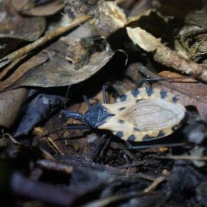 Meet your Posher, Kyle